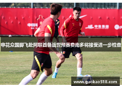 申花众国脚飞赴阿联酋备战世预赛费南多将接受进一步检查 申花众国脚飞赴阿联酋备战世预赛费南多将接受进一步检查